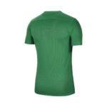 M Nike Dry Park VII Jersey – Green