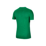 Y Nike Dry Park VII Jersey – Green